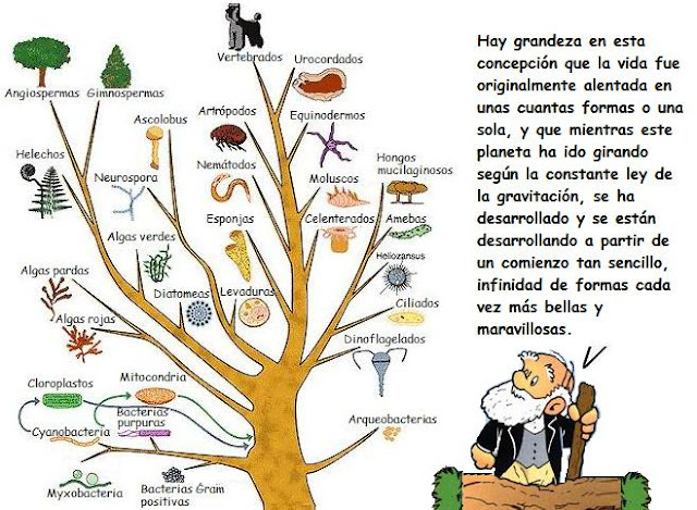 La Historia de la Vida: Darwin y El origen de las especies