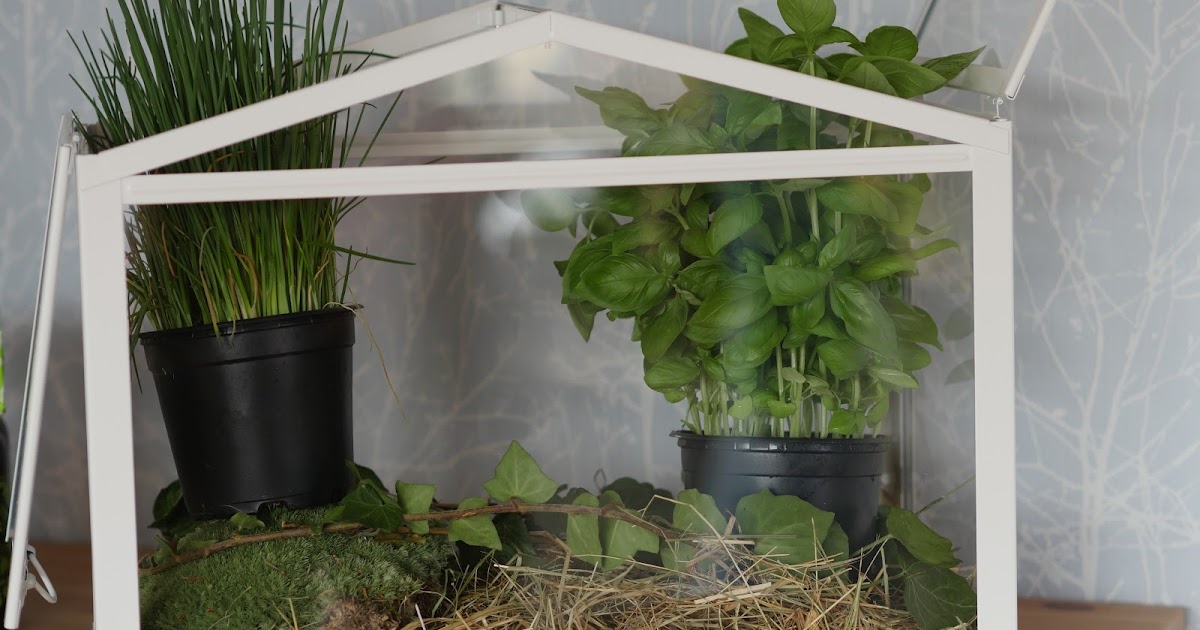 Garten Geschenke Für Männer
