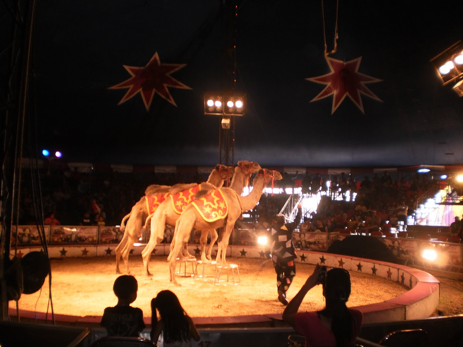 Authenticity: Death defying acts