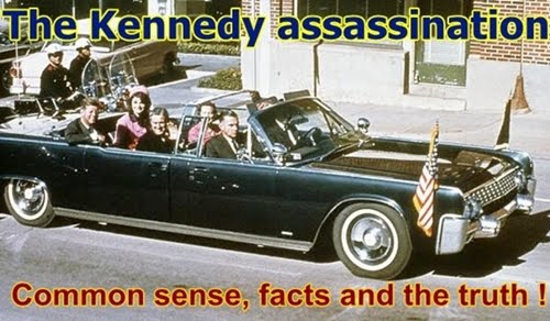 The Kennedy assassination : common sense, facts and the truth !