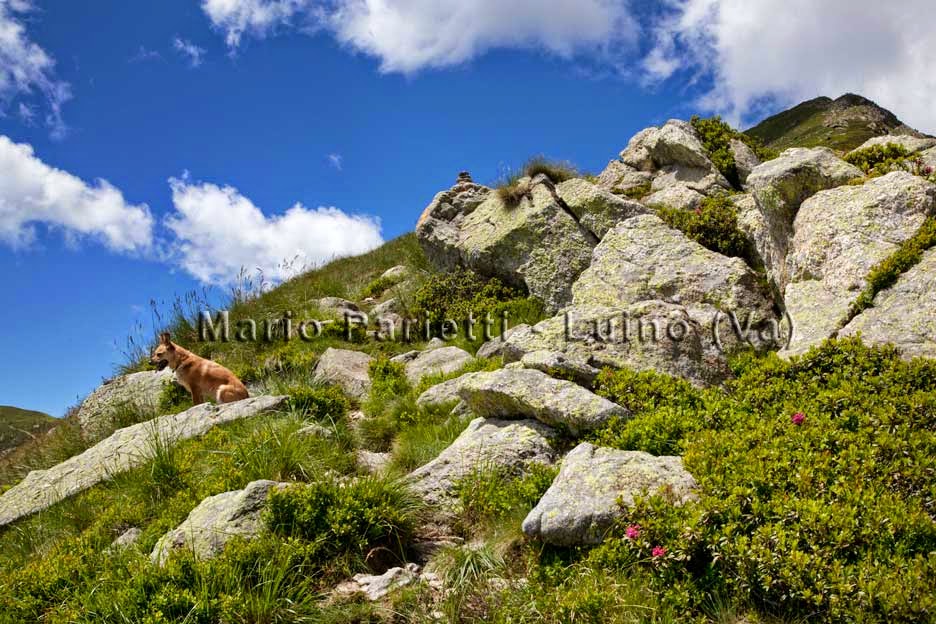 Salita per il Monte Zeda, con Ambra Salita per il Monte Zeda, con Ambra