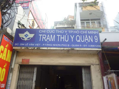 Top 6 phòng khám thú y chất lượng Quận 9- Hồ Chí Minh 9 phòng khám thú y