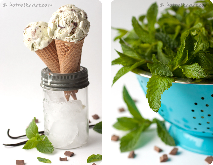 i d l e w i f e guest post with Hot Polka Dot vanilla mint chocolate