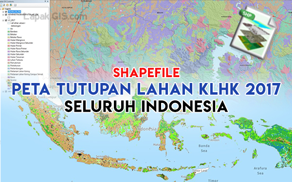 Shapefile Peta Tutupan Lahan KLHK 2017 Seluruh Indonesia