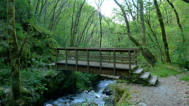 Puente subiendo a la cascada Puente subiendo a la cascada
