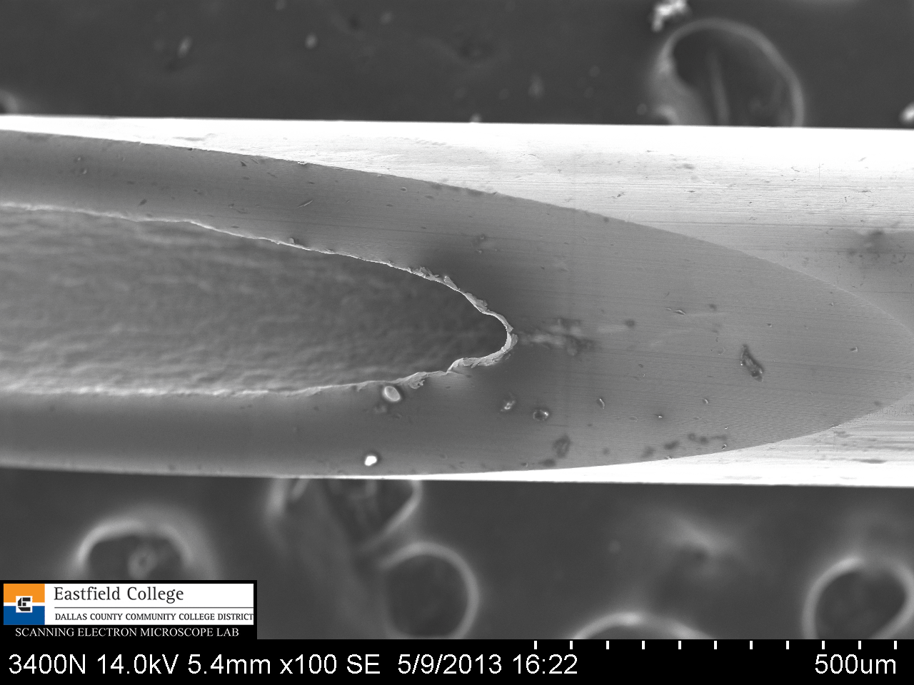 Scanning Electron Microscope Blog How Sharp is a Hypodermic Needle?