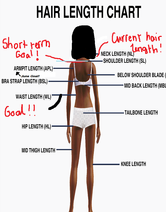 Length required. Hair length Chart. Neck-Waist length. Back length. Mid back length.