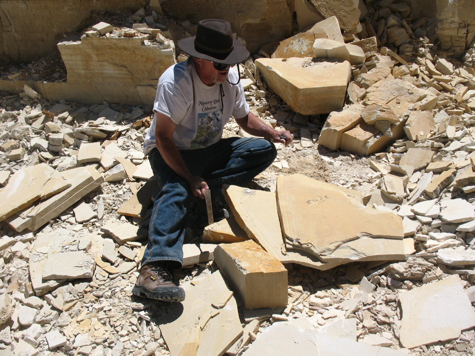 Doing It On The Road(Part II) A Day of Fossil Collecting at the