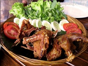 kuliner bebek goreng di lampung kuliner bebek goreng di lampung