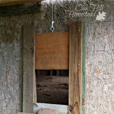 A wooden chicken-size door to the coop.