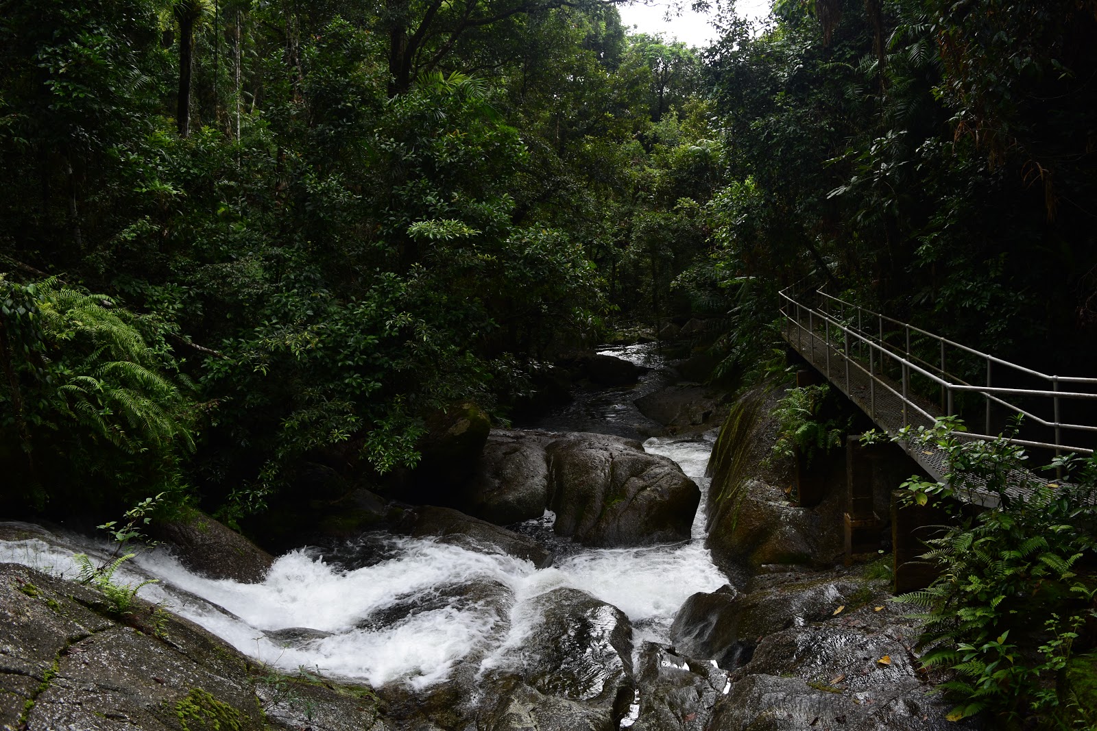 To Catch Sight Of. Frenchmans Creek