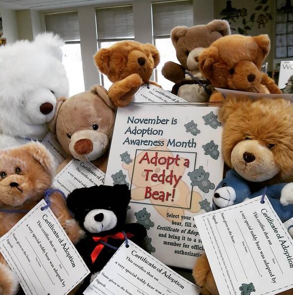 Little Bit Librarian Teddy Bear Adoptions