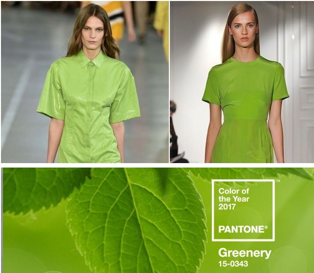 Resultado de imagem para como usar Greenery será a cor de 2017