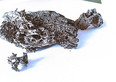 Alien life PROOF Best documented UFO crash in history REVEALED 1667373 Rusia: El mejor documentado accidente #ovni en la historia revelado Incidente de Dalnegorsk