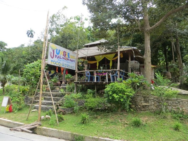 Jungle cafe Jungle cafe