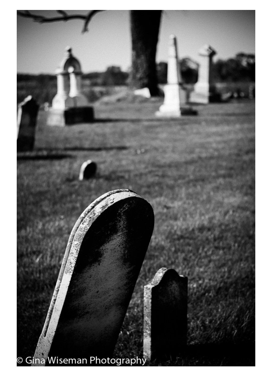 Shelbyville Indiana Forest Hill Cemetery Miller Cemetery Indiana