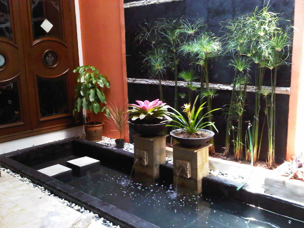 tukang kolam minimalis: Galery Taman Kolam Minimalis