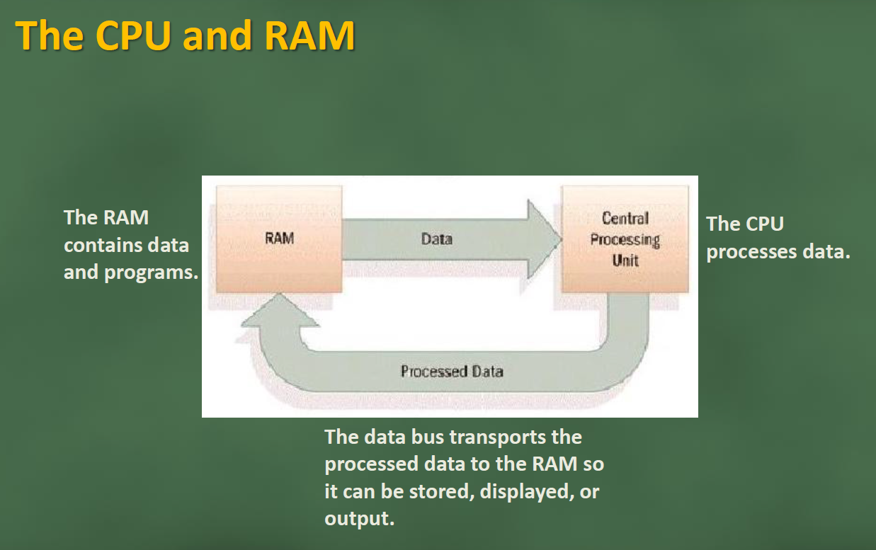 Engineering & Technology: Central Processing Unit