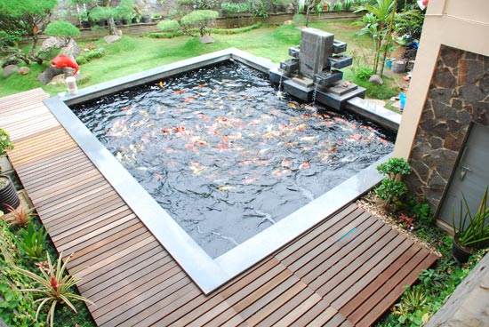8300 Koleksi Desain Taman Rumah Minimalis Dengan Kolam Ikan Gratis Terbaru