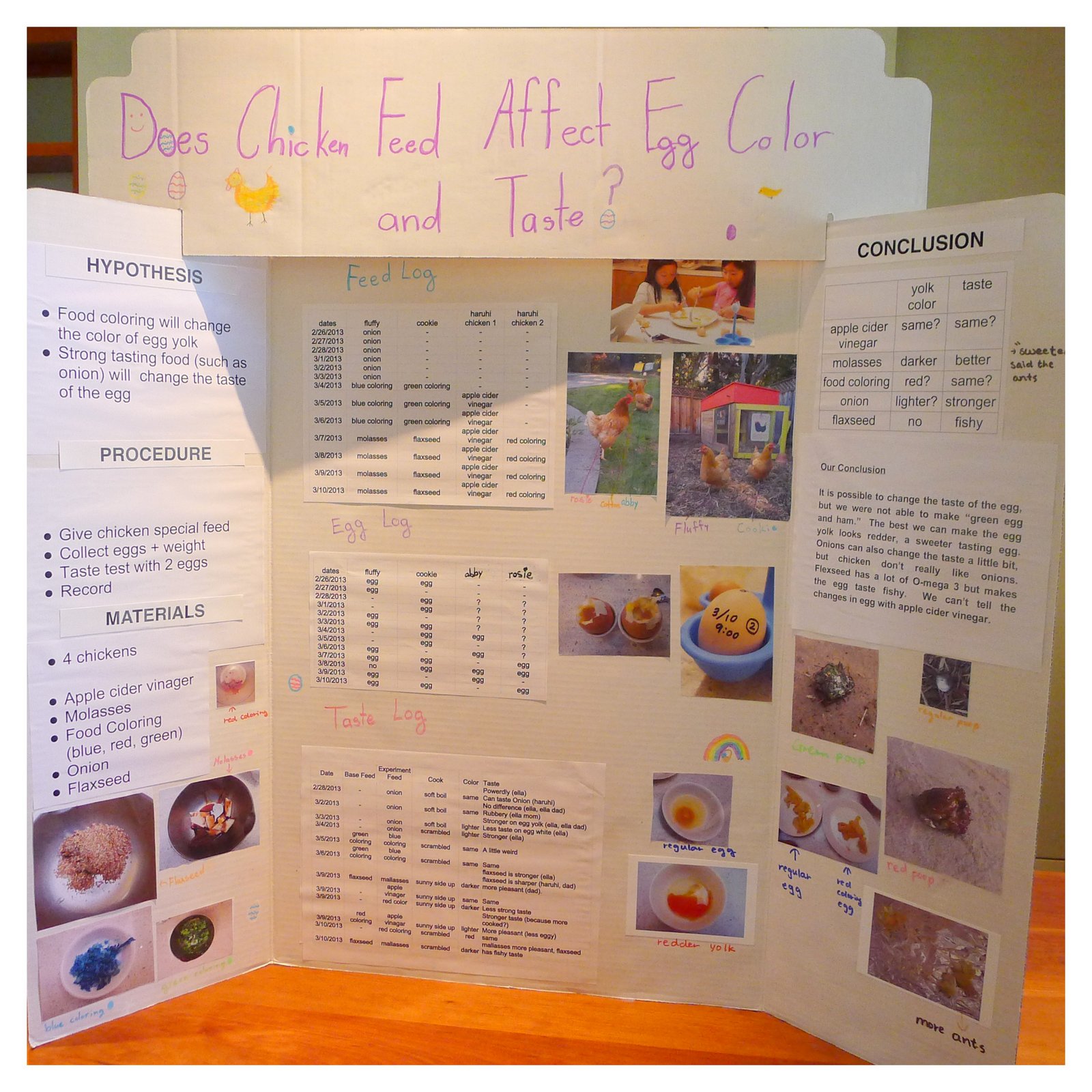 ella's daytrips Does Chicken Feed Affect Egg Color and Taste?