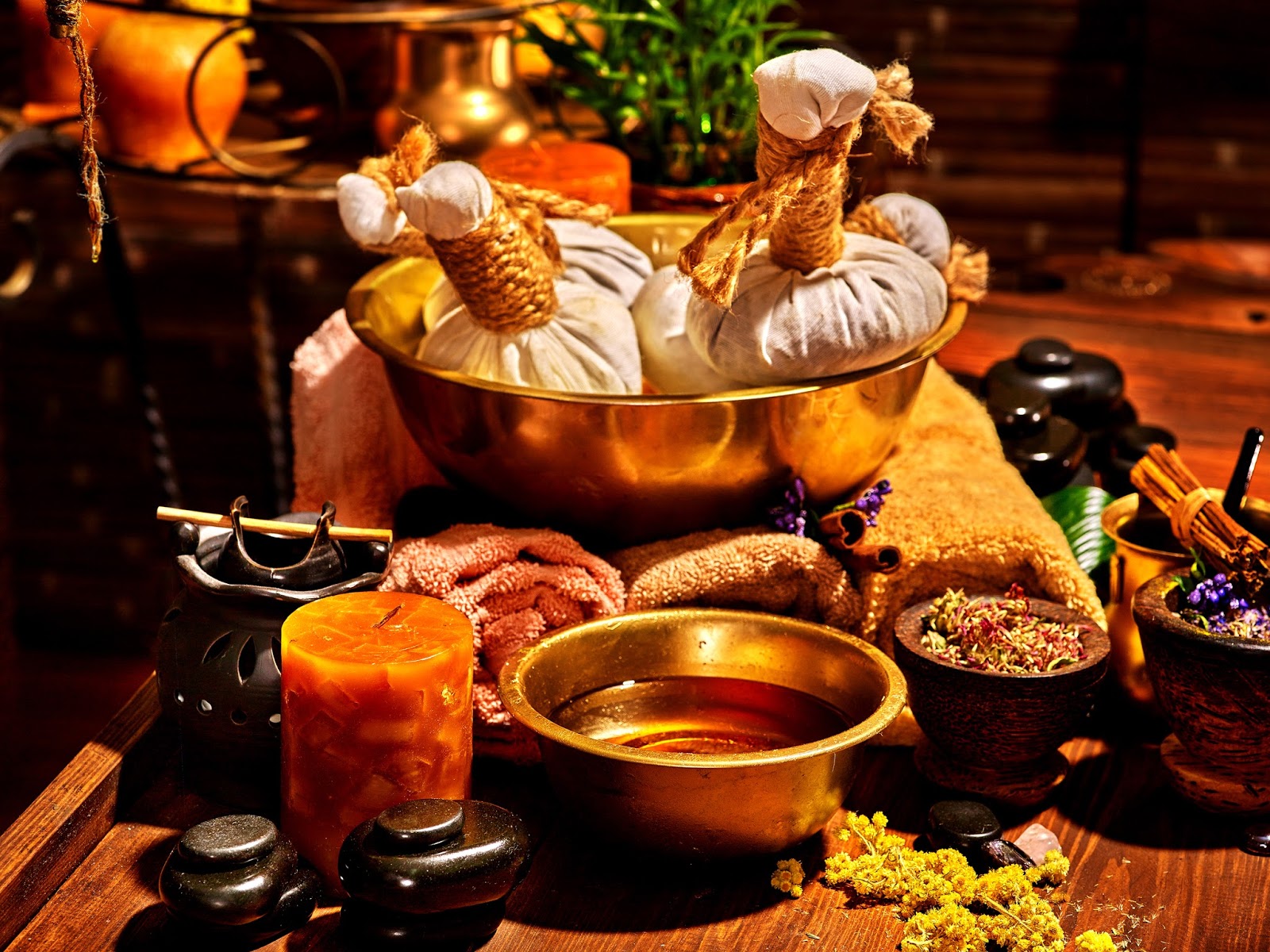 India Ayurveda Hub Enables You to Explore Those Wonderful Traditional Ayurvedic Places in India