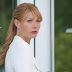 Conheça melhor a Pepper Potts