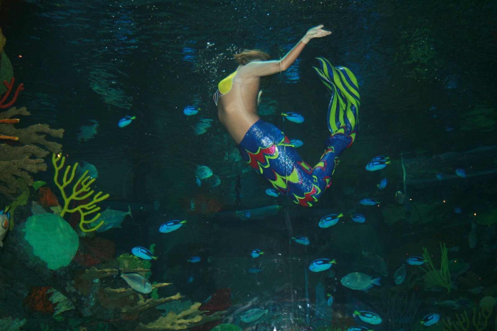 Silver Lake To Sin City: Escape from Douchery, Part 17: Mermaid ...