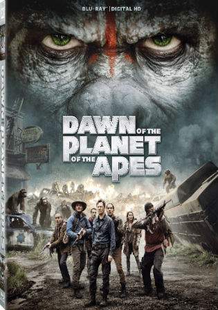 Dawn Of The Planet Of The Apes 2014 BRRip 999MB Hindi Dual Audio 720p