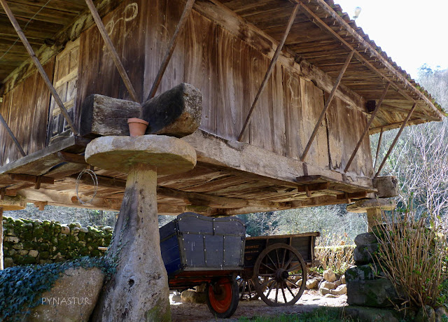 Hórreo en Espinaredo (Espinareu) - Pioña - Asturias Hórreo en Espinaredo (Espinareu) - Pioña - Asturias