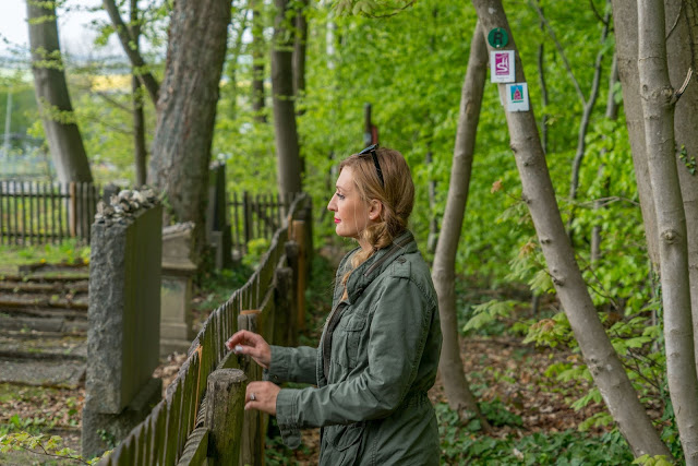 Premiumwanderweg - Traumschleife Burgstadt-Pfad – Kastellaun | Kyrill-Sturmwurferlebnispfad | Wandern-Hunsrück 05