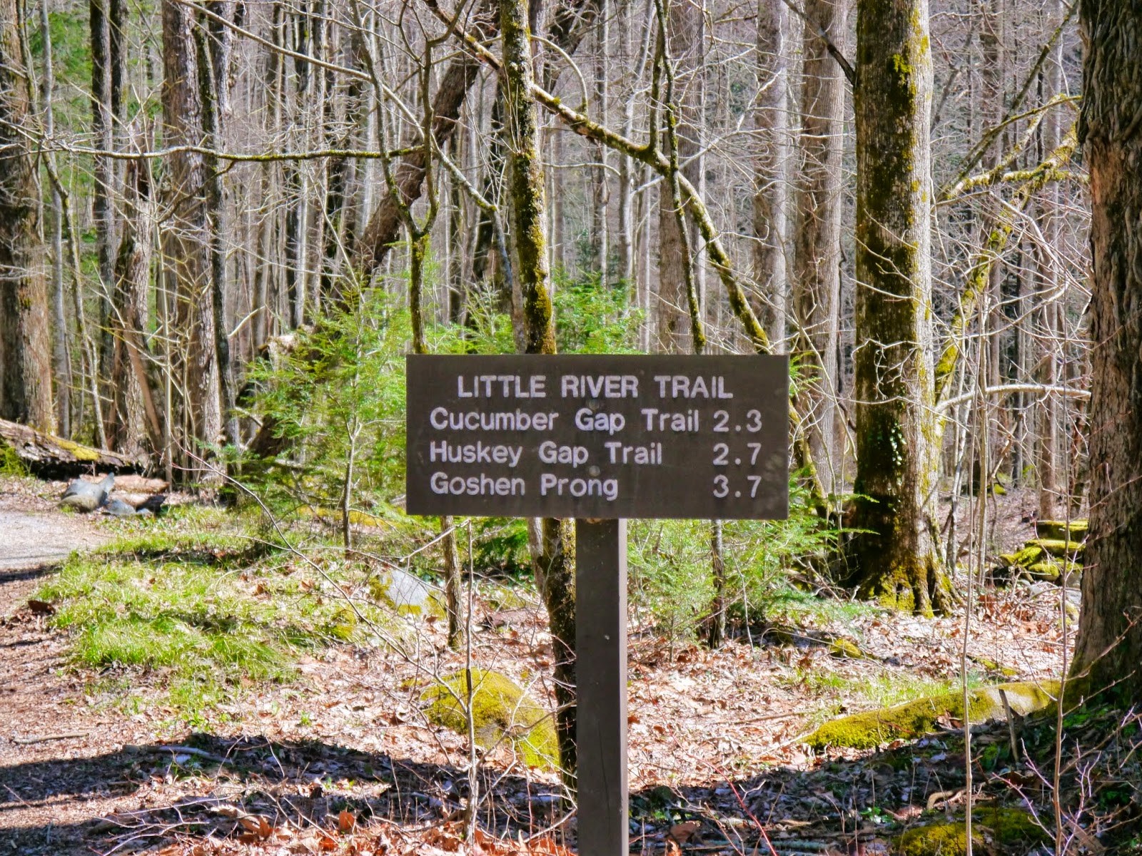 American Travel Journal Little River Trail Great Smoky Mountains