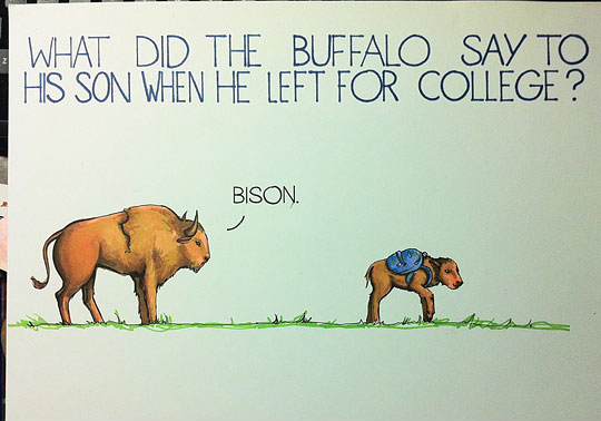 Buffalo Joke