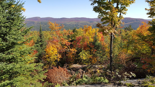 Point de vue lors de la montée vers le Sommet (forêt Ouareau)
