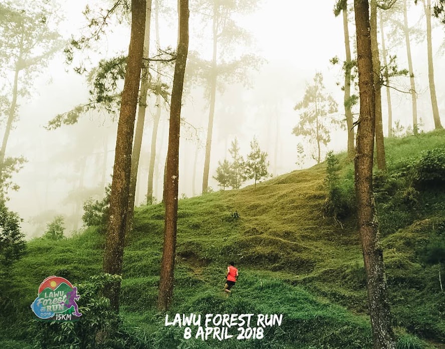 Rute Lawu Forest Run • 2018 Lawu Forest Run Route 2018