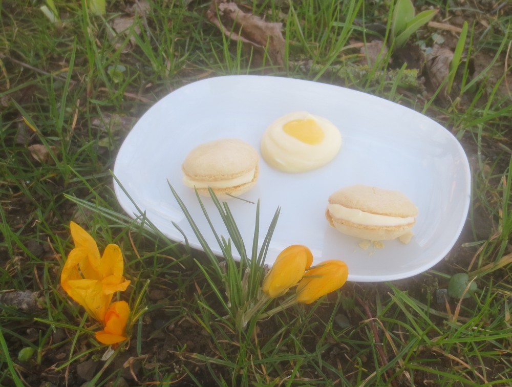 Barbaras Spielwiese: Macarons mit Eierlikör-Frischkäse-Füllung