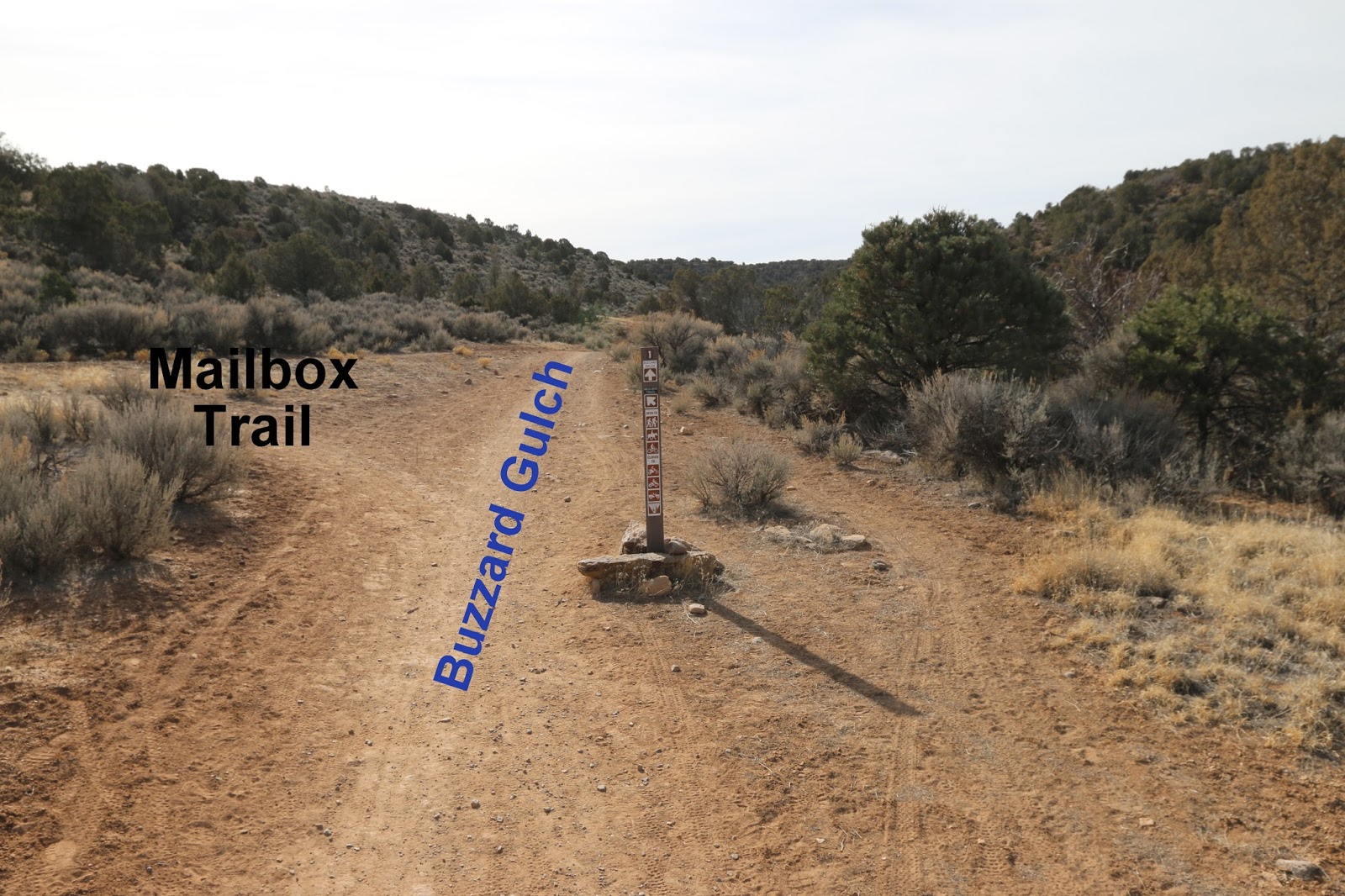 Buzzard Gulch
