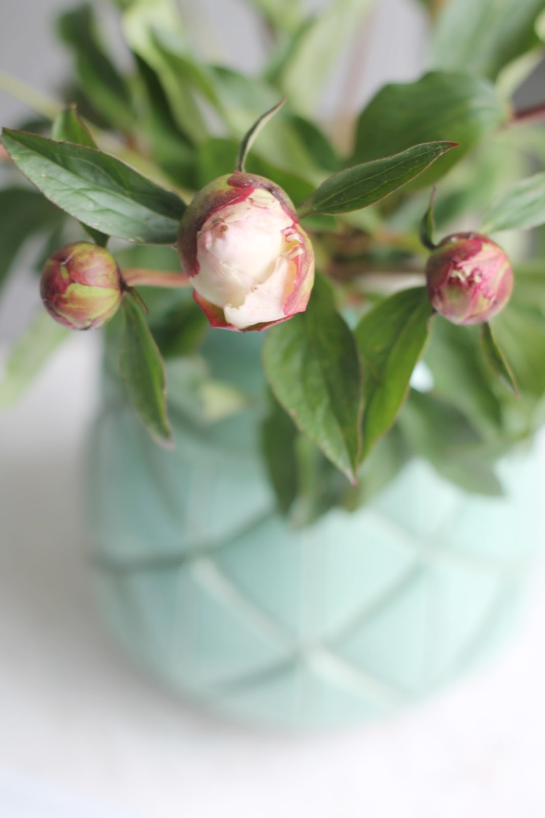 Missjettle : lief wonen met mint