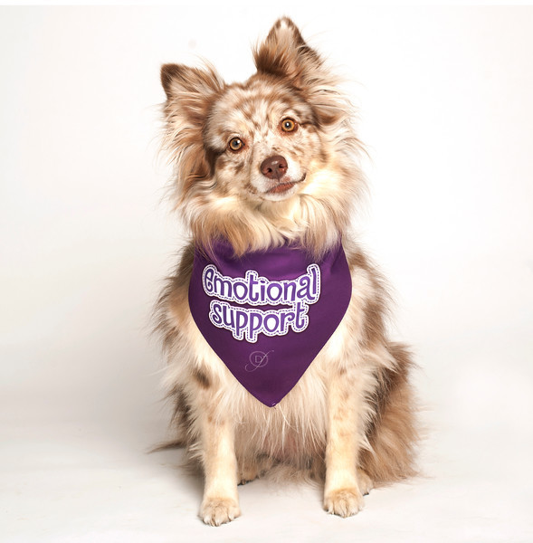 Service Dog Emotional Support Vest Service Dog Emotional Support Vest