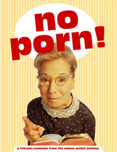 SafeLibraries®: LA Times Supports Filtering Porn from Public Libraries