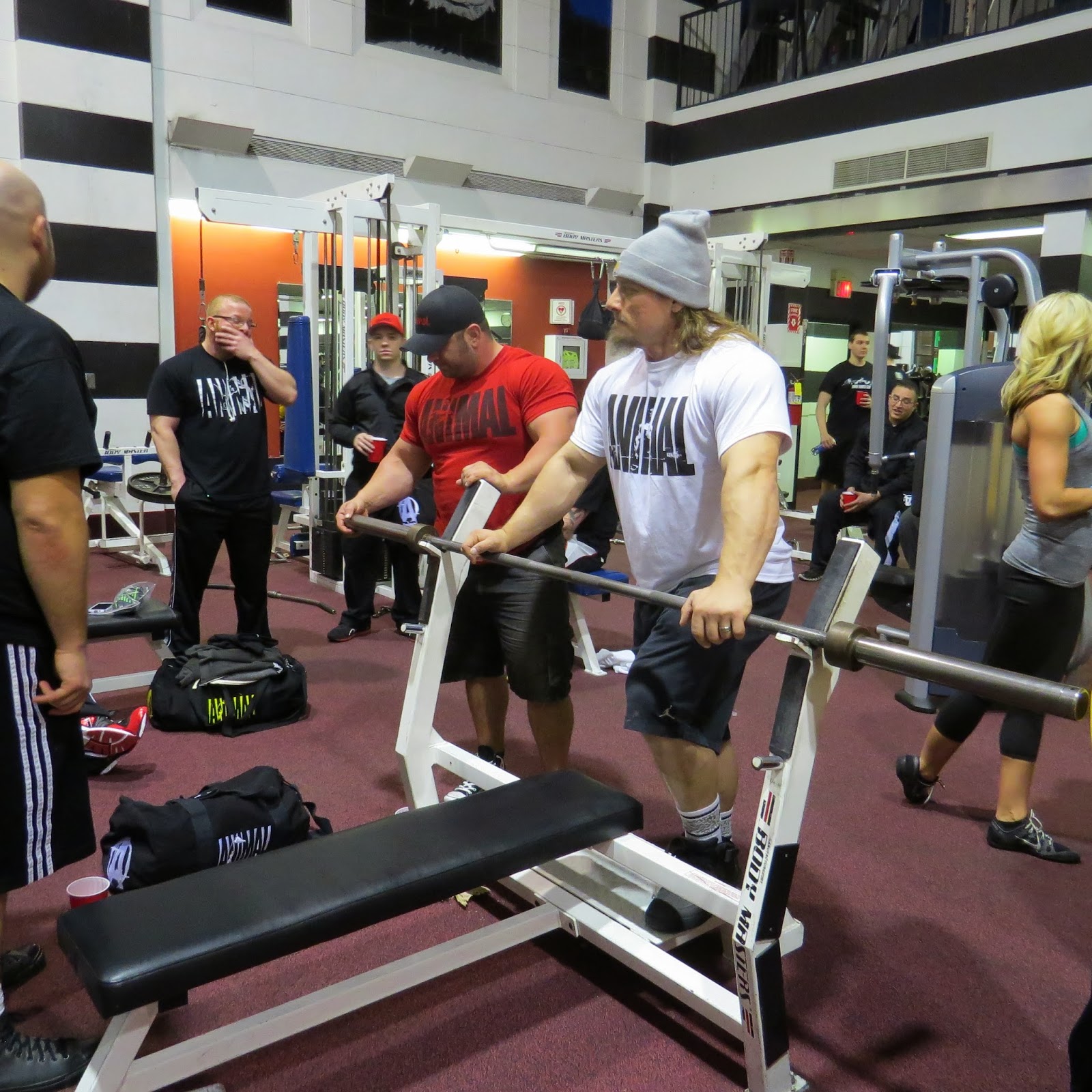 to the Bulky Boy Blog! The National Animal Barbell Club (Metro Fitness, Ohio)