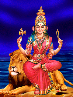 What brings good luck What brings good luck