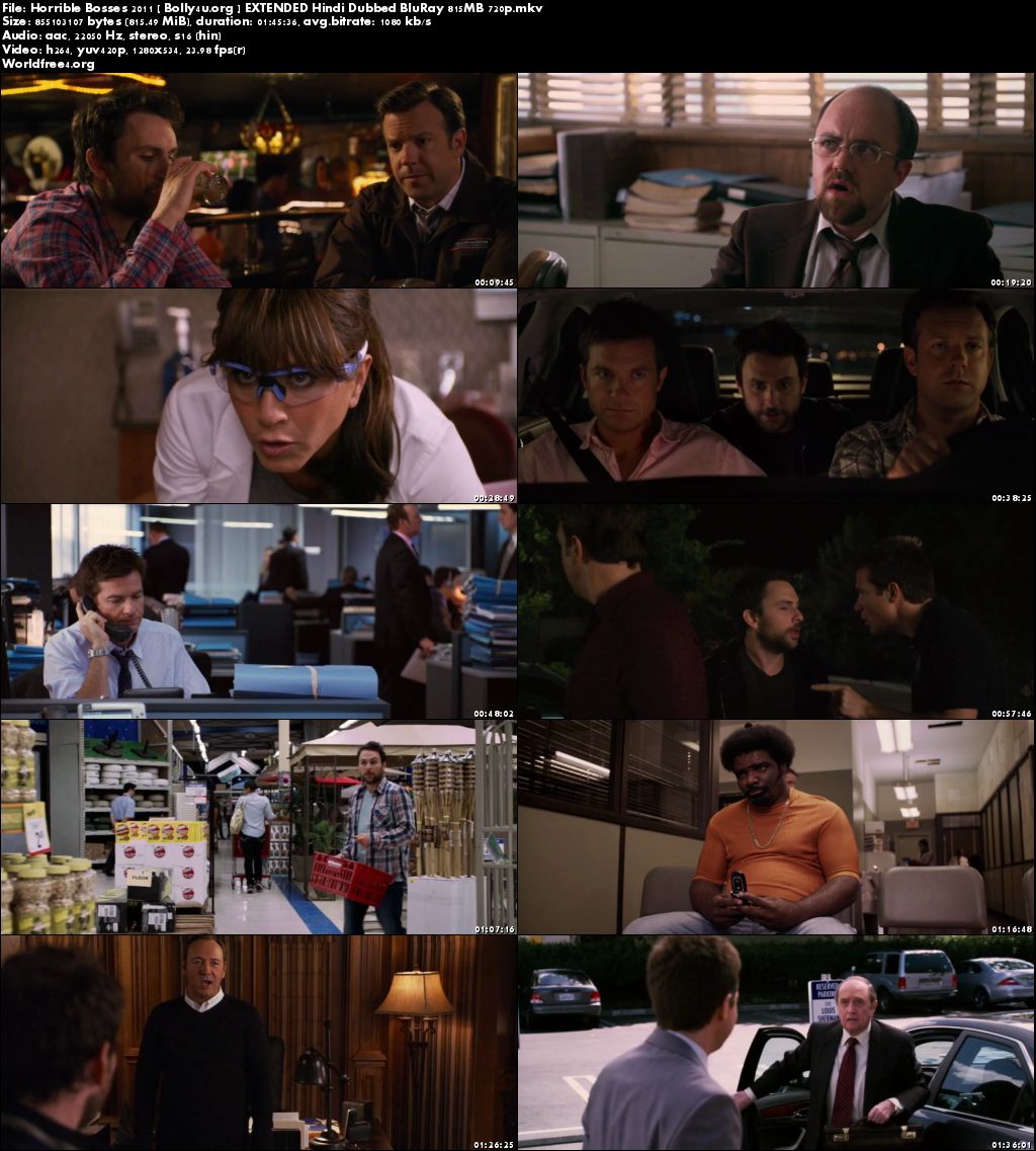 Horrible Bosses 2011 BRRip 800MB Hindi Dubbed EXTENDED 720p Download