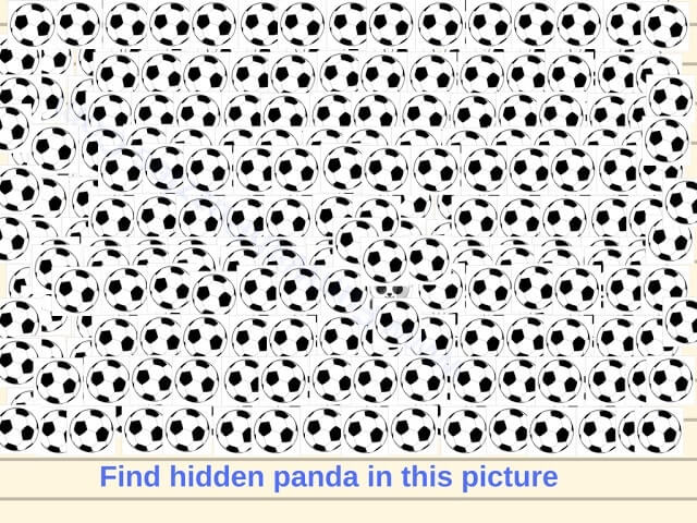 Picture Puzzle to find Hidden Panda