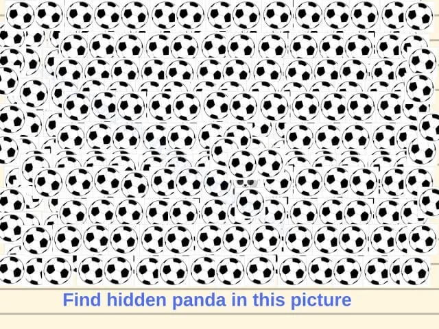 Picture Puzzle to find Hidden Panda: Hidden Faces Picture Puzzles