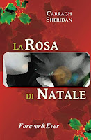 La rosa di natale La rosa di natale