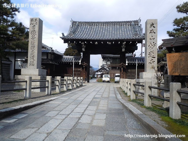 京都1月賞櫻去 - 妙蓮寺御會式櫻