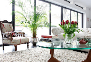 Tanaman Dalam Ruangan Rumah Minimalis Modern Tanaman Dalam Ruangan Rumah Minimalis Modern, Tanaman Rumah Minimalis, Tanaman Dalam Rumah, Tanaman Hias Rumah Minimalis,