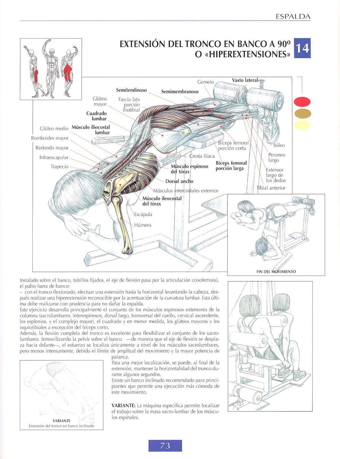 La barra fija de la osteocondrosis