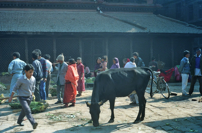 Népal, Katmandou, Durbar Square, © L. Gigout, 1990