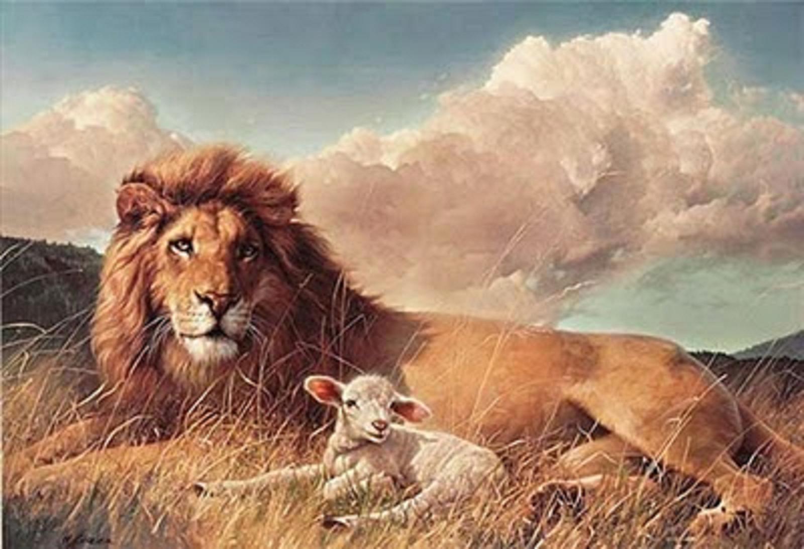 The Lamb and the Lion Pt.2 When Christ Will Rule Completely